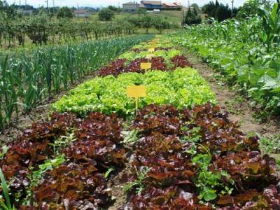 agricultura_ecologica1