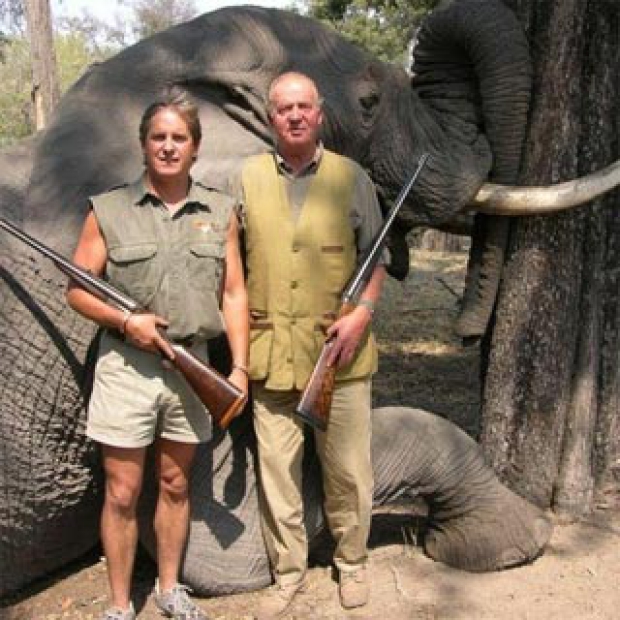 Rey-elefante_cazado