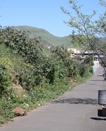 Calle_Mara_Tejedor_phixr