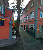 Palmeras_comisara_phixr