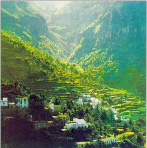 Valle_Gran_Rey