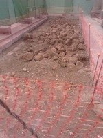 Zona_arqueolgica_La_Catedral_phixr