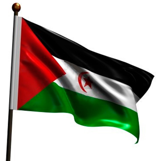 bandera_saharaui_2
