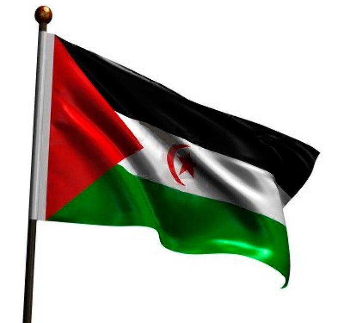 bandera_saharaui_2