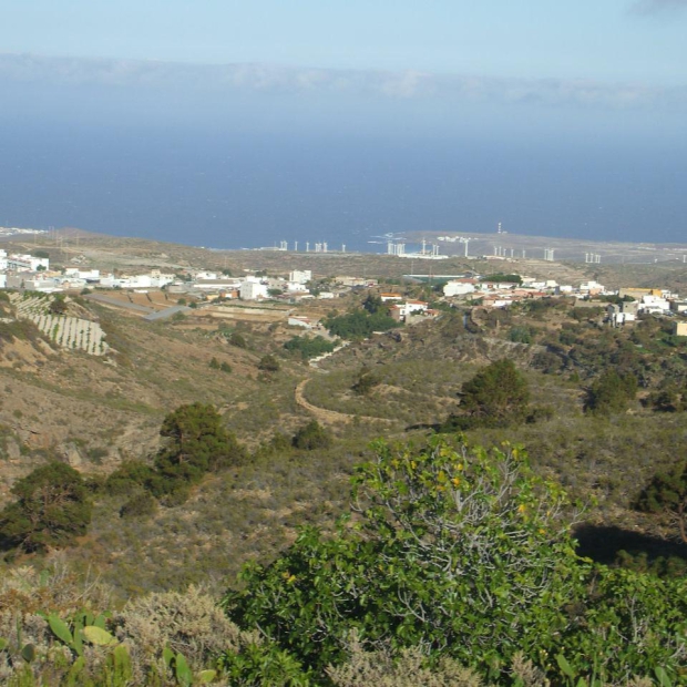 arico_photo_2016-08-08_12-53-11