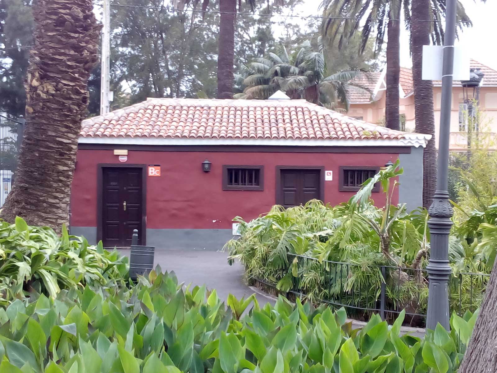 Cafetería-La-Constitución