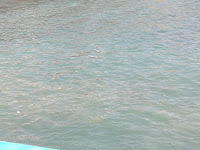Caleta de Adeje Caleta de Adeje