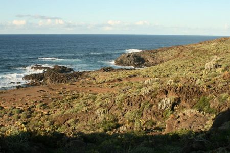 Sí se puede reclama una solución que garantice a la población de Buenavista el acceso a la costa
