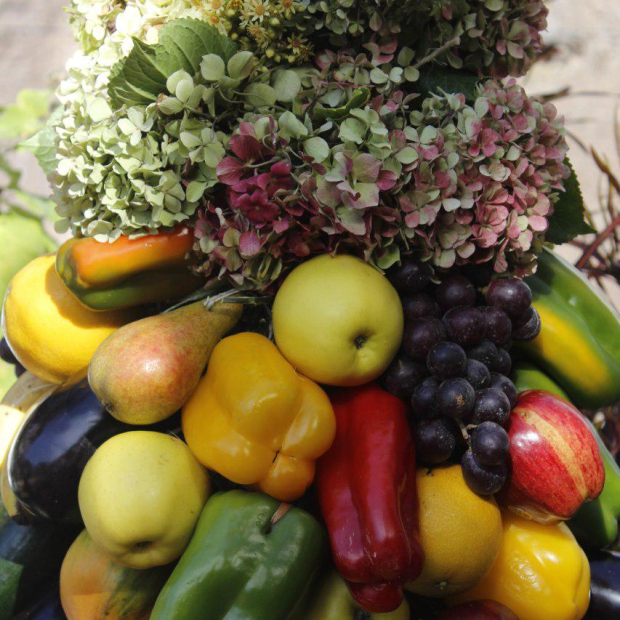 photo_2019-03-29_11-13-48