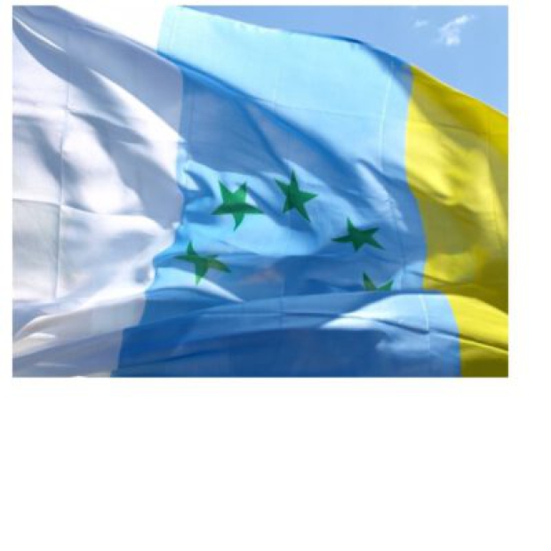 bandera nacional canaria 2020