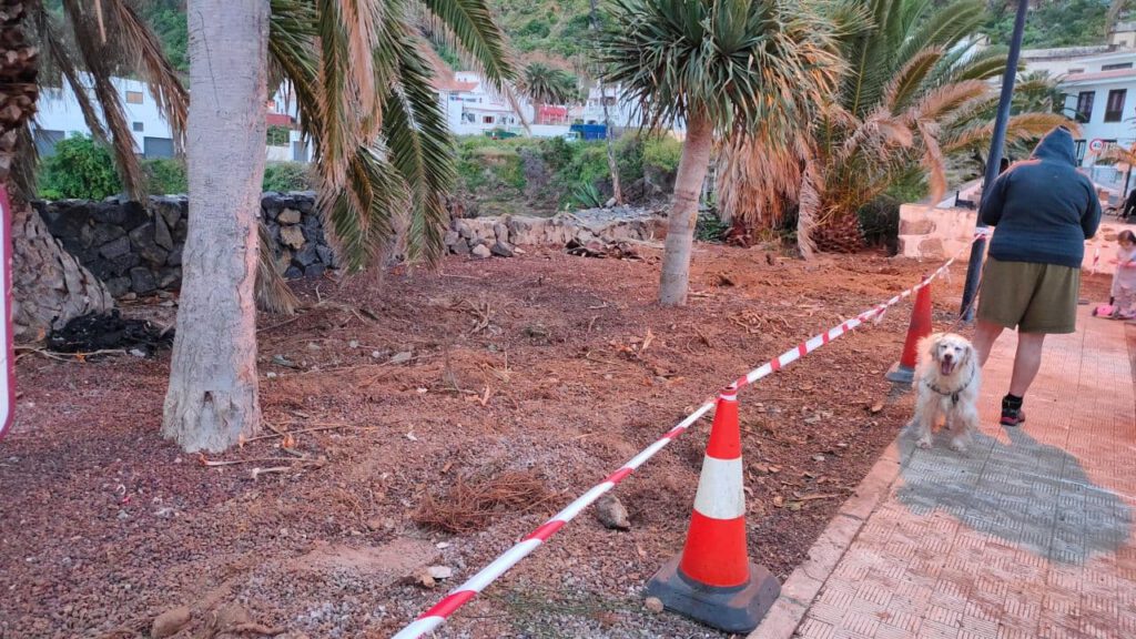 La zona ajardinada, despejada, donde AUP-Sí se puede pide plantar con flora autóctona