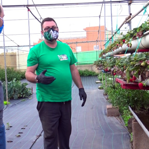 LL_Venta productos agrícolas