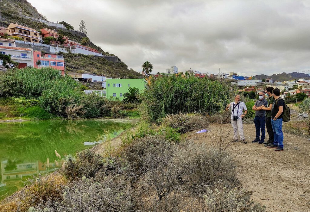 A la derecha de la imagen, en el centro del grupo, el concejal de Medio Ambiente, Lucha contra el cambio climático y Bienestar animal de La Laguna, José Luis Hernández, durante su visita a la zona.