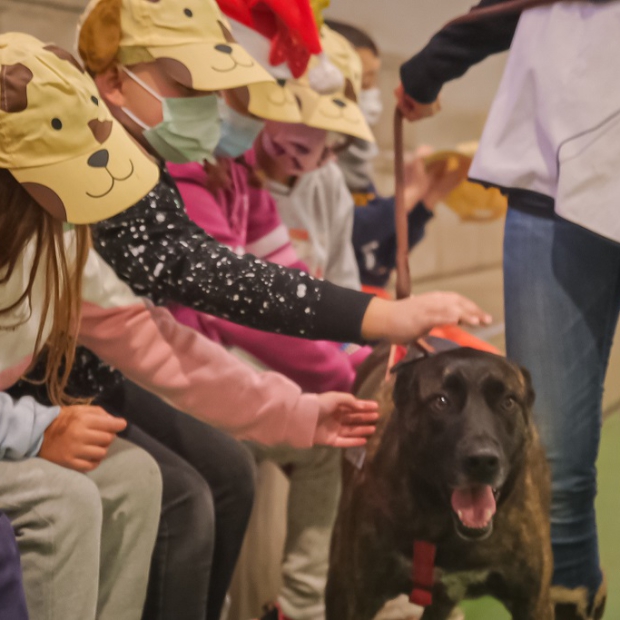 LL_Feria_Adopción_CEIP_Nava 2021 02