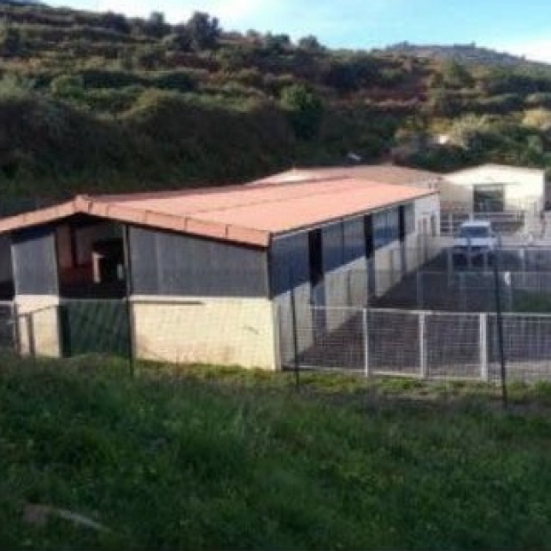 SJRambla_granja escuela