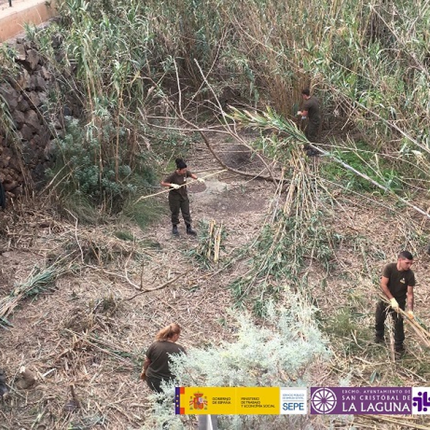 LL_Limpieza_barrancos 02