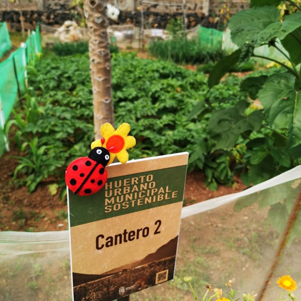 Bta_huerto comunitario 2022 03