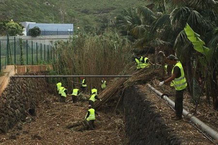 La Laguna interviene en 20.000 m2 de barrancos y canales del municipio para evitar incendios, plagas e inundaciones