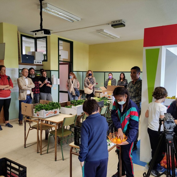 LL_Expo_grupos_consumo_agroecológicos 01