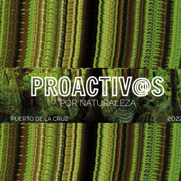 PC_Proactivas web 02