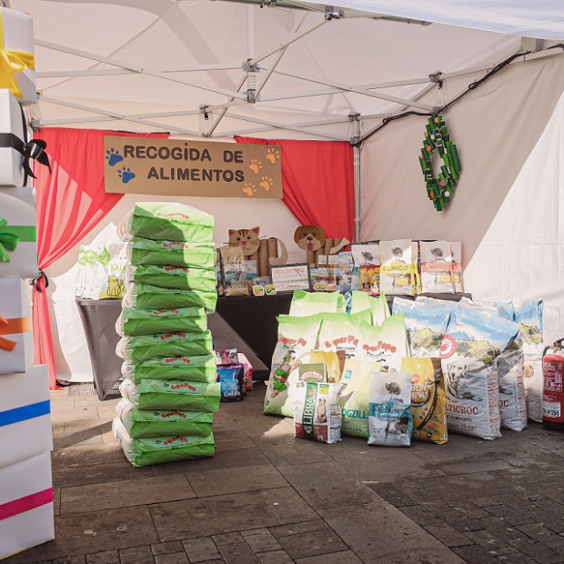 LL_Feria adopción 2022 06