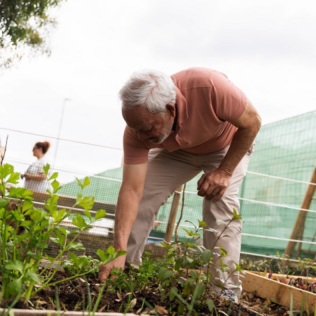 LL_Huerta_Cho_Canino 02