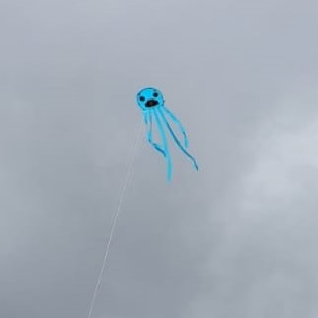 LL_fiesta_cometa 23 04