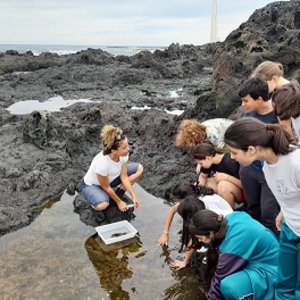 LL_sem MA 23_Punta 01